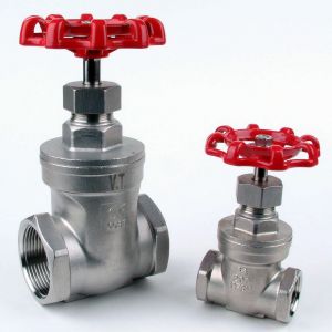 Stainless Steel Gate Valve